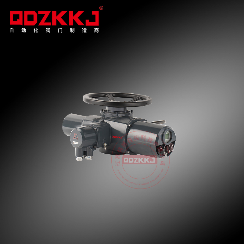 多回轉(zhuǎn)電動執(zhí)行器 QD-Z30